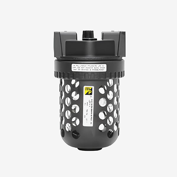 Filtro de aire Master Pneumatic